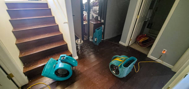 Best Water damage restoration near me  in Highland, UT