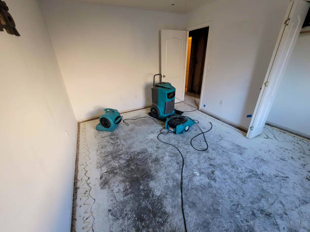 Best 24-hour water damage restoration  in Highland, UT