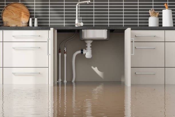 Best Flood damage cleanup  in Highland, UT